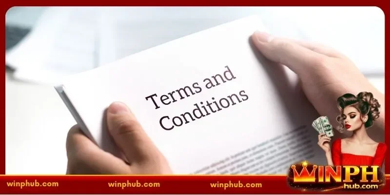 Essential Principles of the WINPH Terms and Conditions